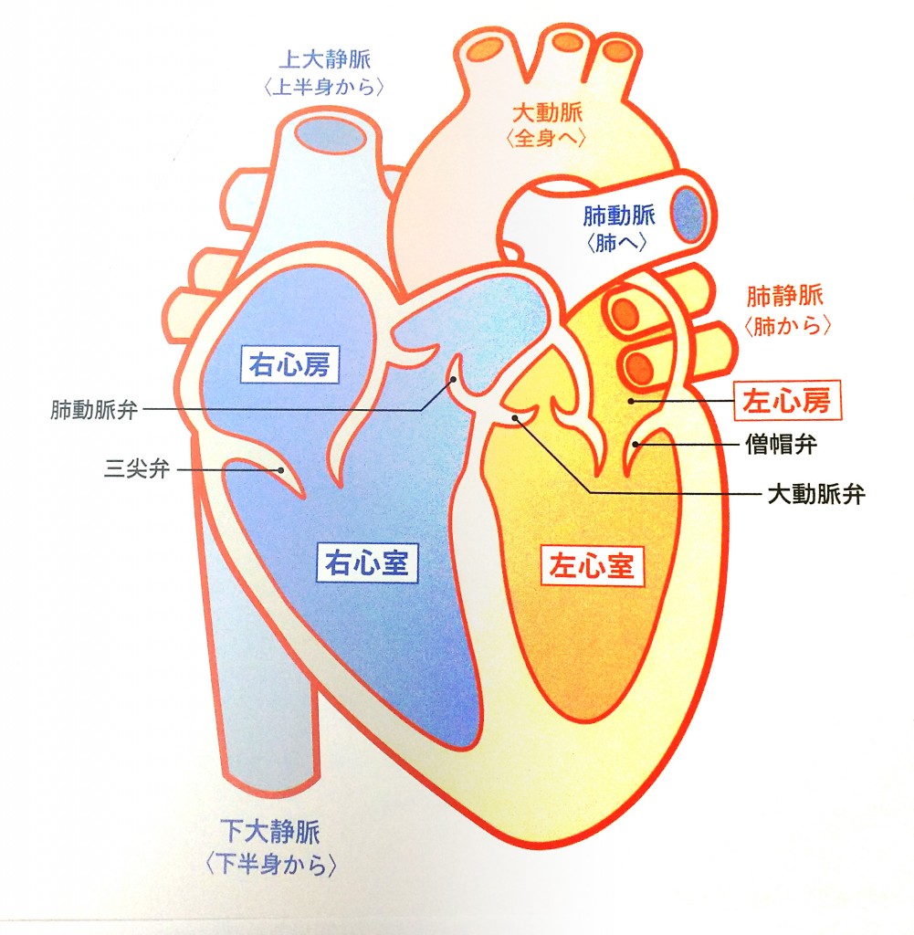 心臓 弁膜 症 足 の むくみ